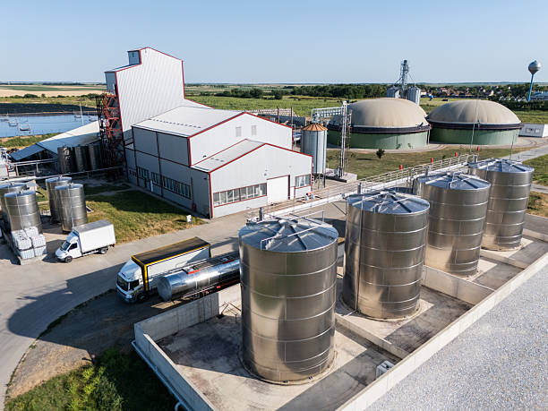 Global market access